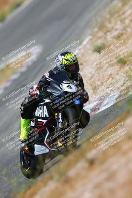 media/Jul-08-2023-2WTD (Sat) [[c8c0d2e149]]/B Group/1220pm (Turn 5)/